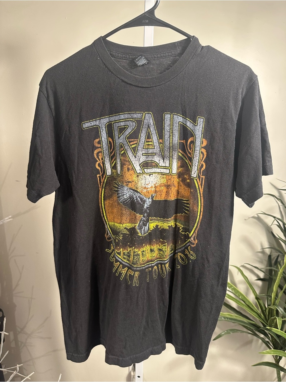 N254. Train band tee Summer Tour 2018 Black Graphic Tee